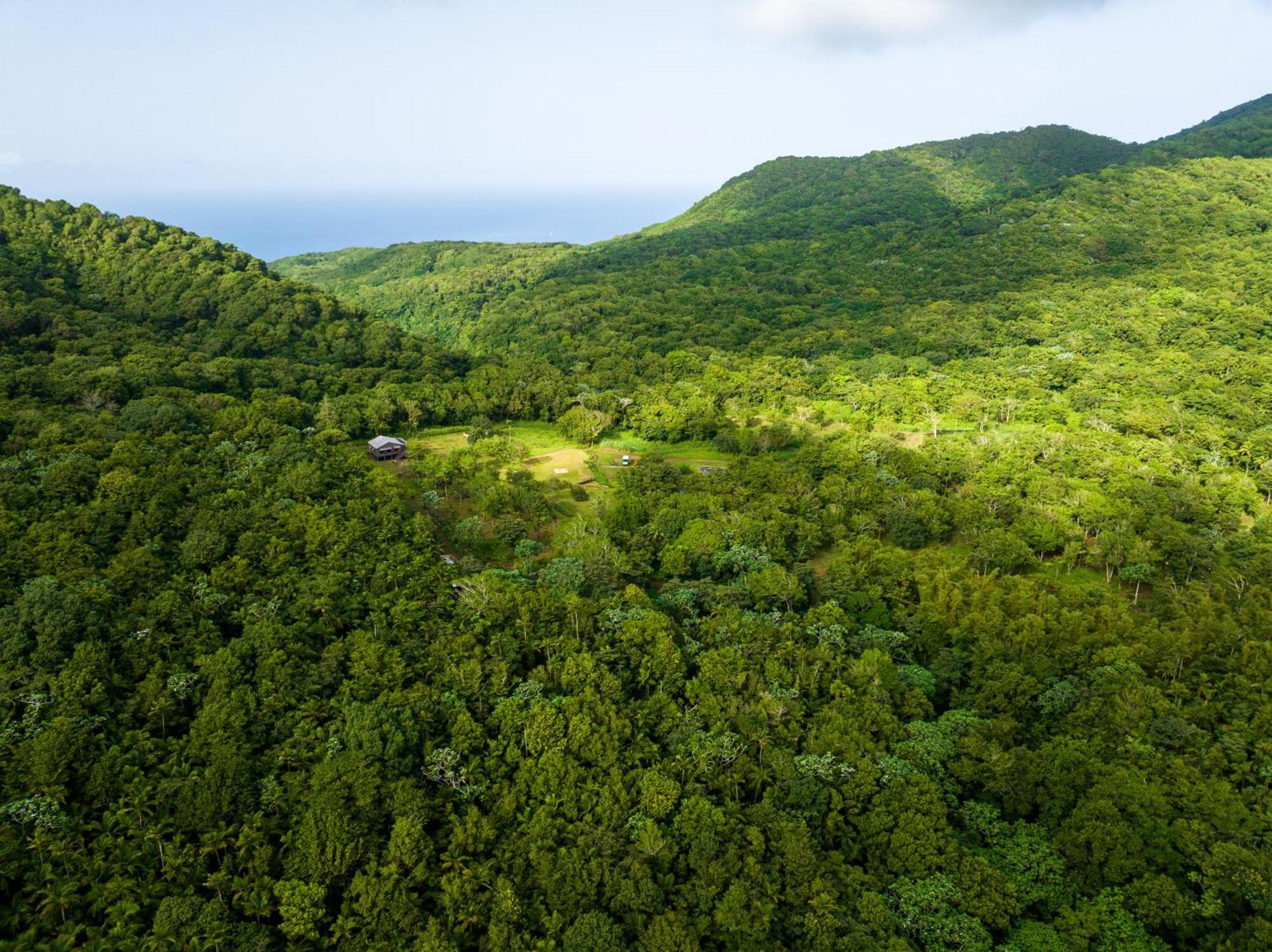 Villa Liamuiga Romneys Exterior foto