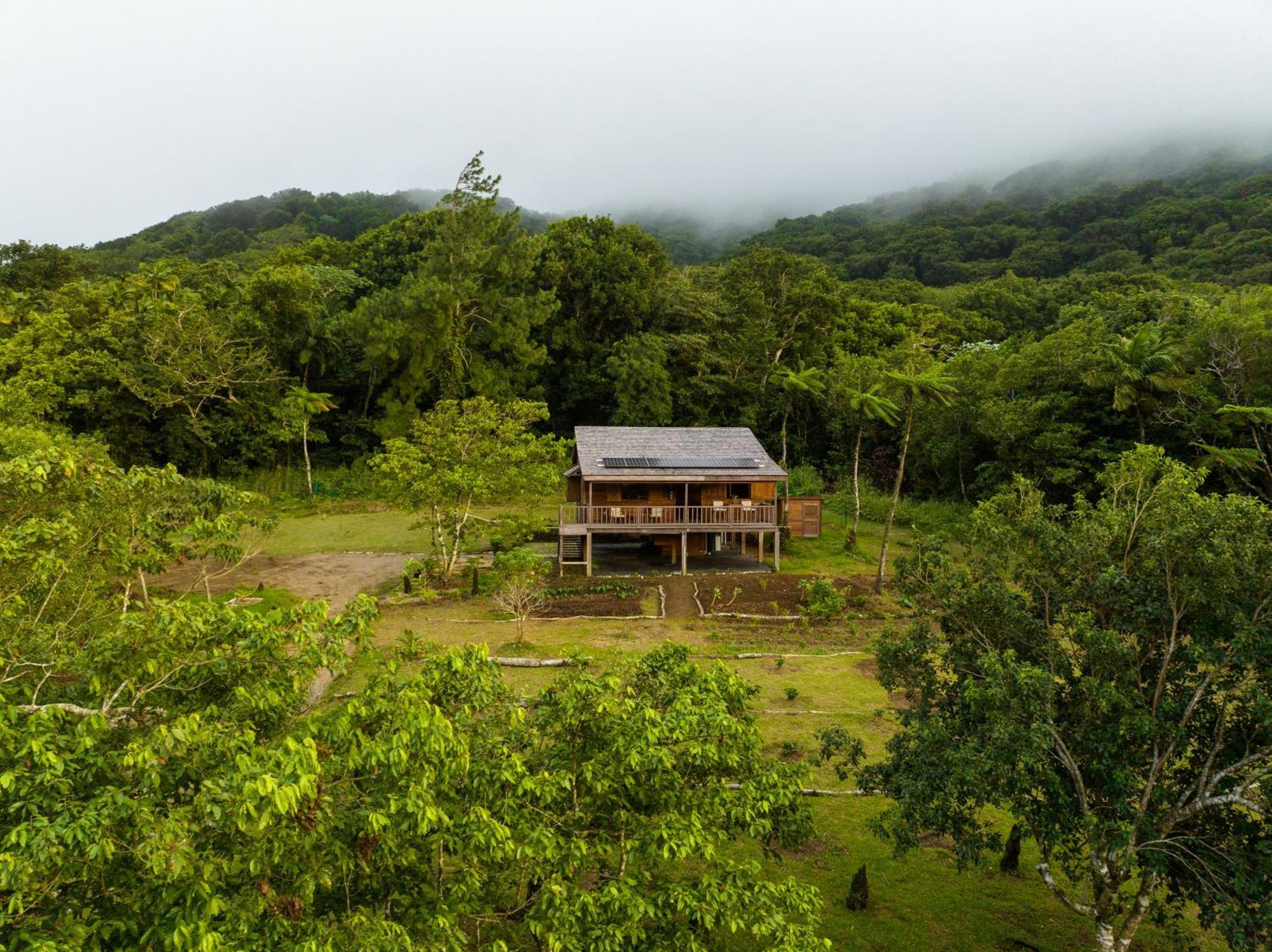 Villa Liamuiga Romneys Exterior foto