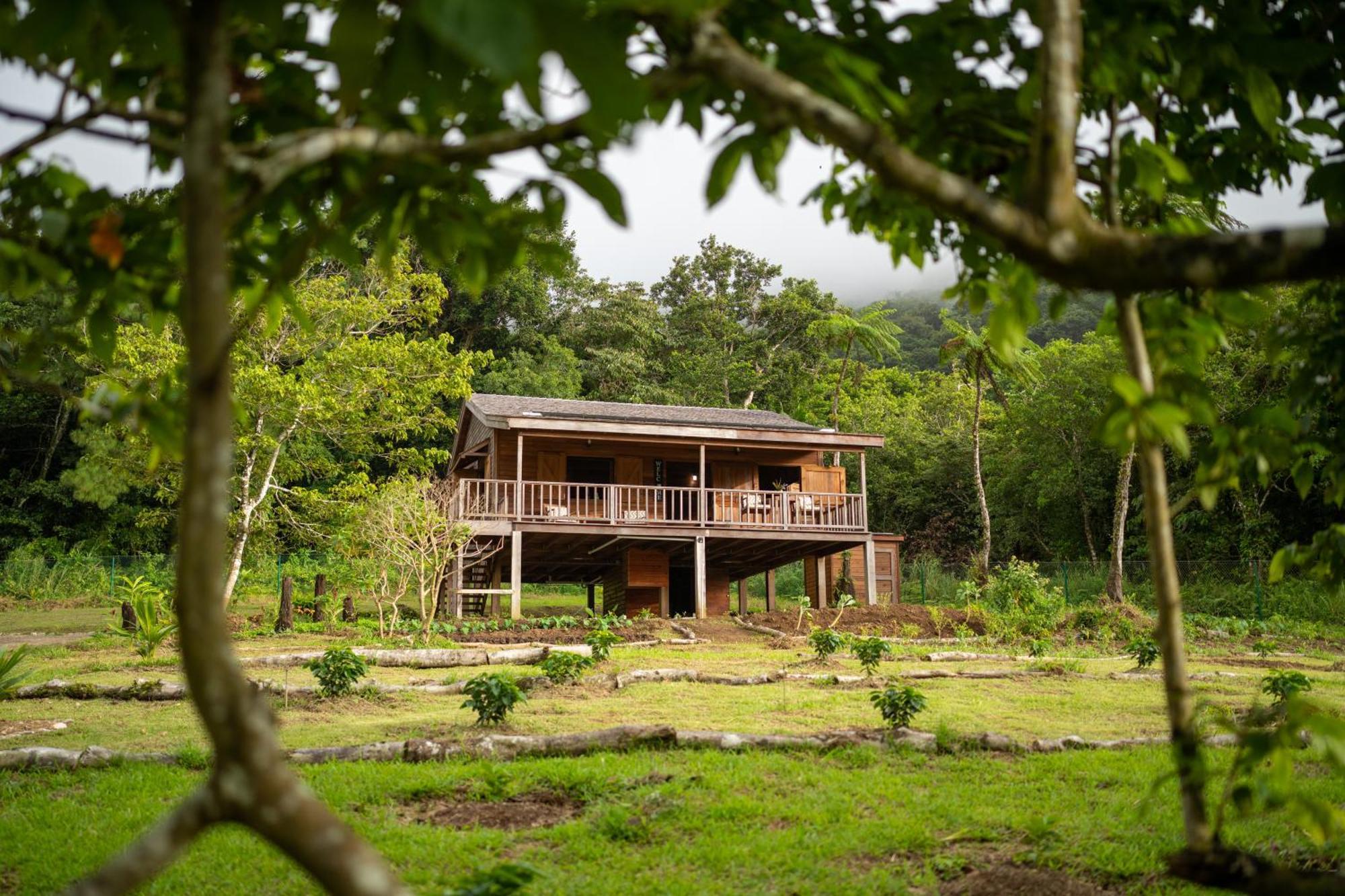 Villa Liamuiga Romneys Exterior foto